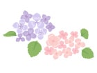 flower-img